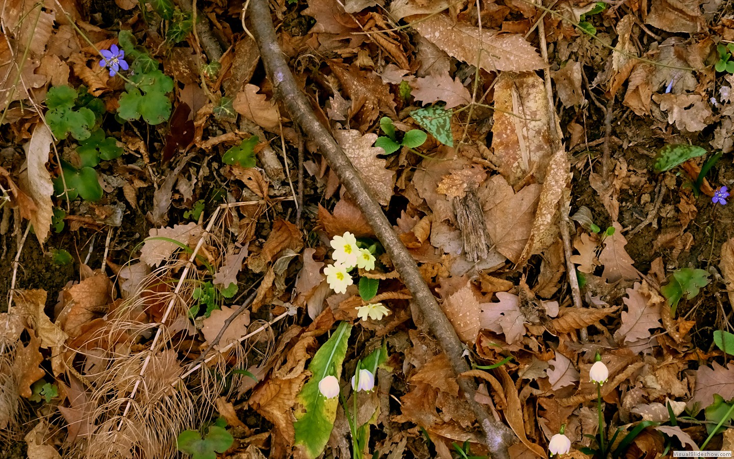 DSC02104