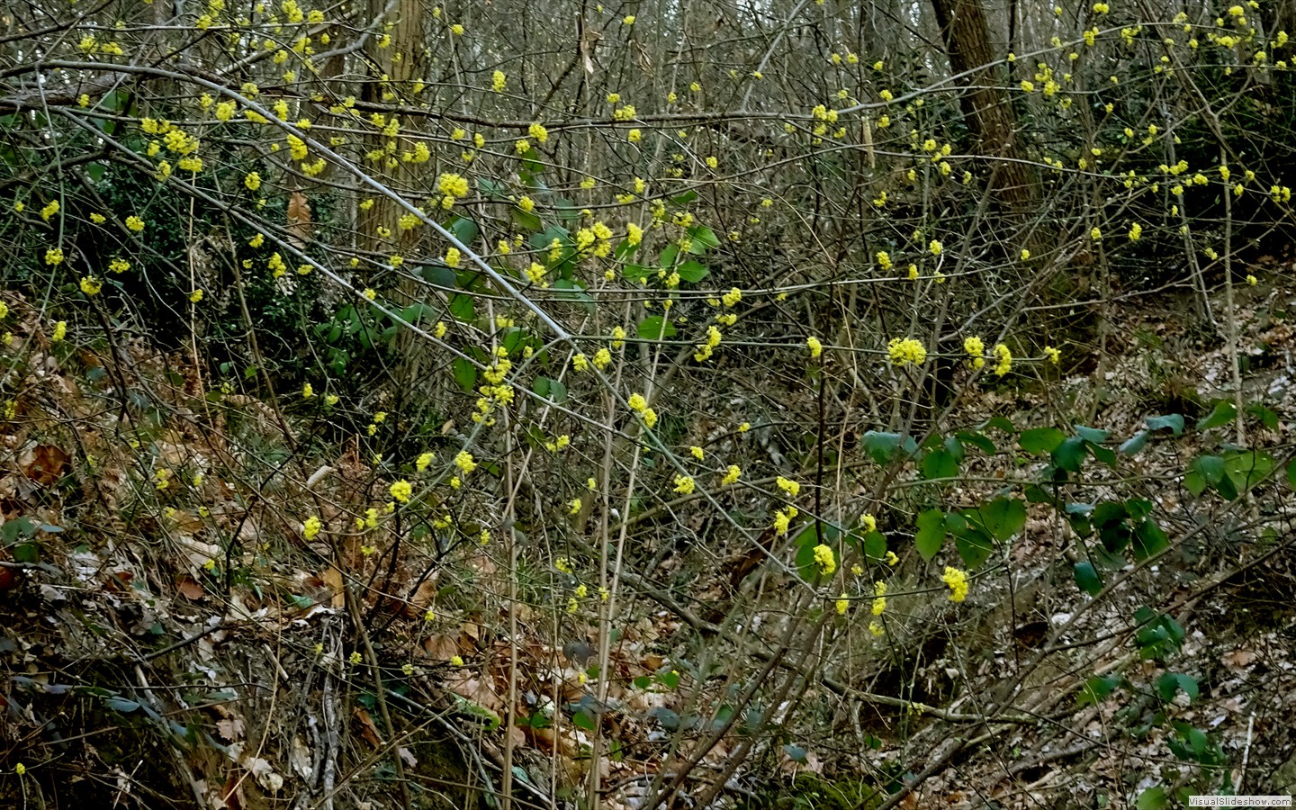 DSC02105