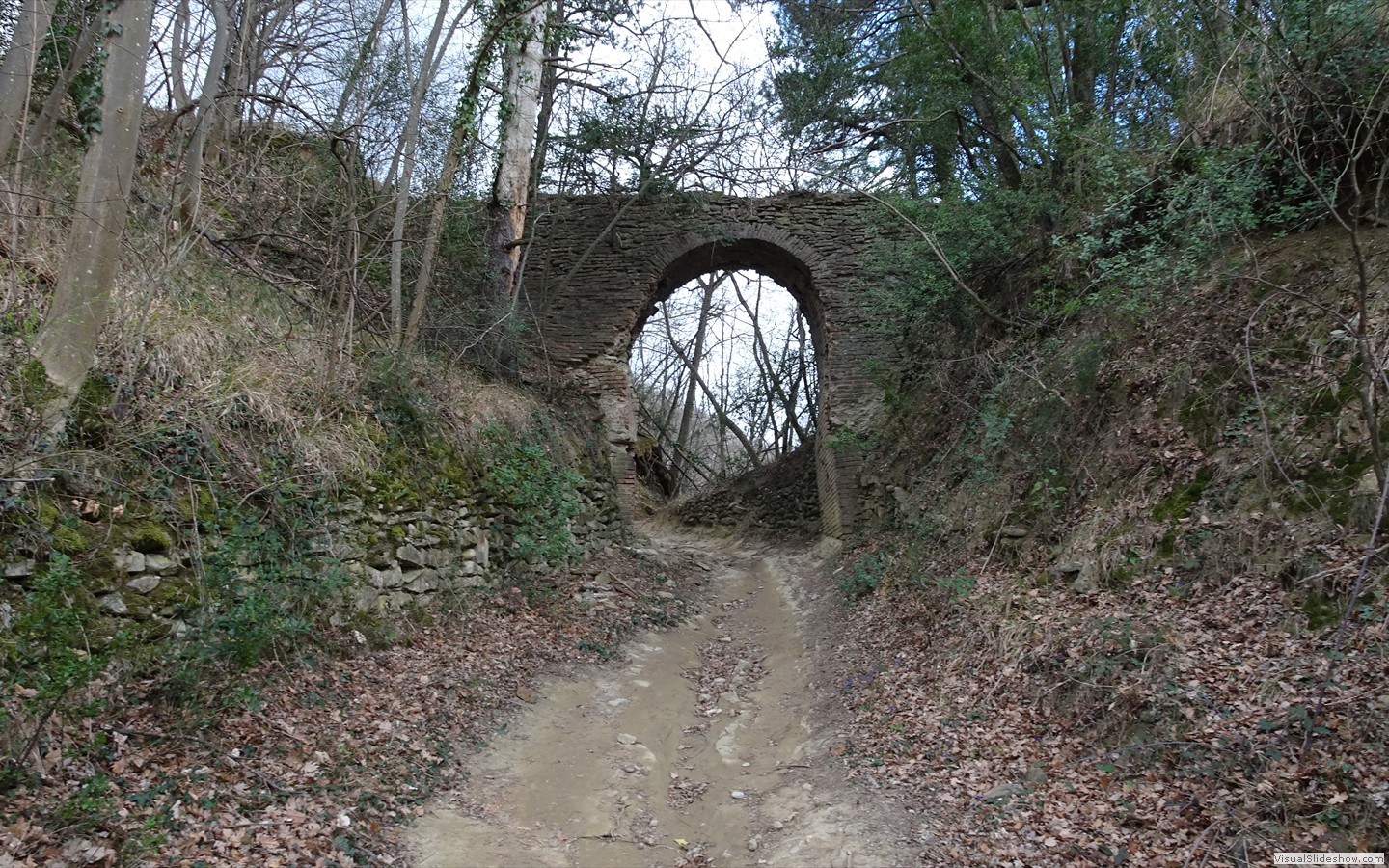 DSC02132