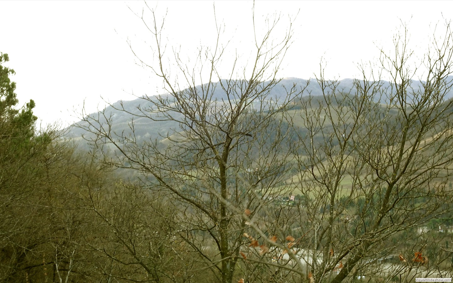 DSC02138