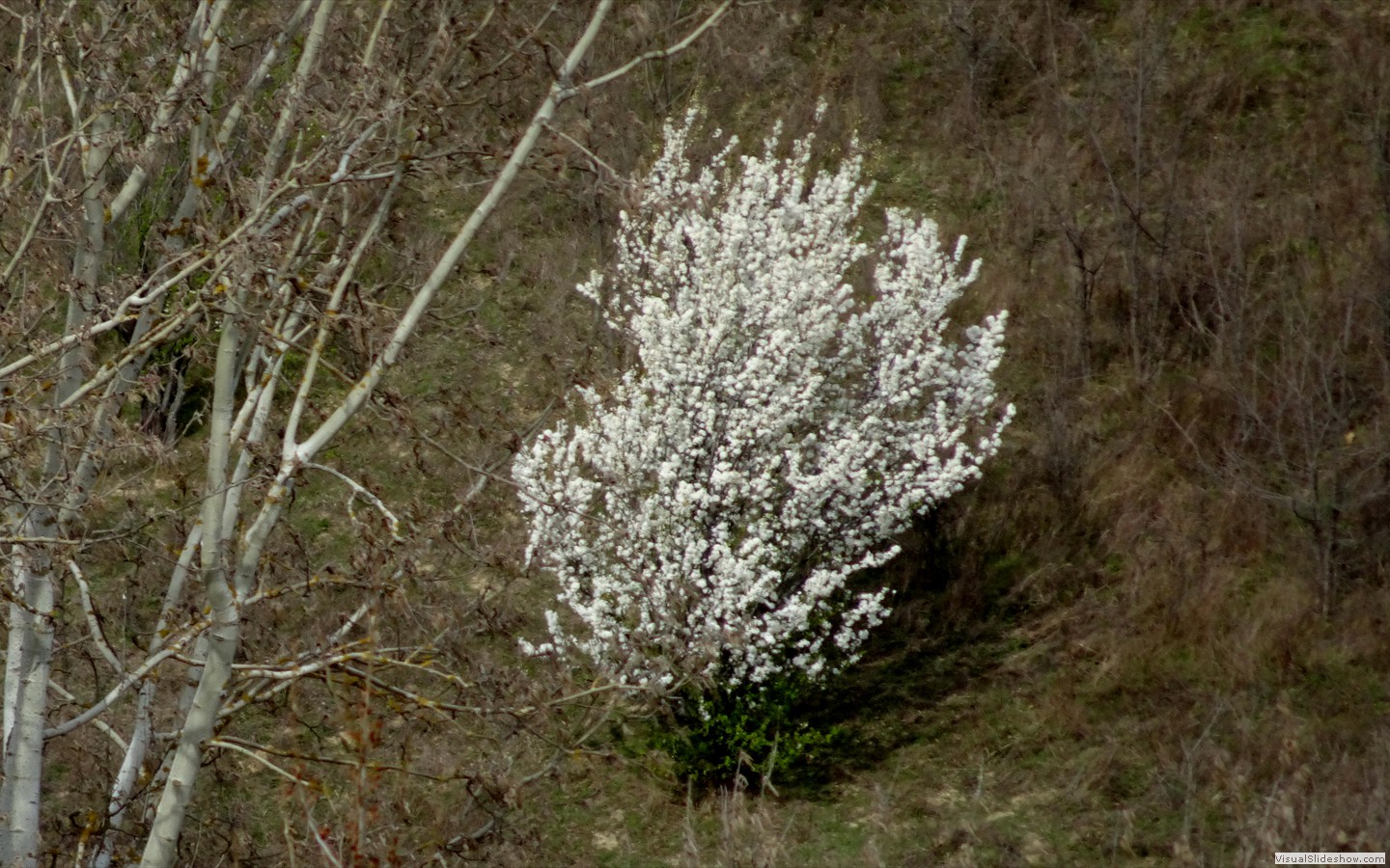 DSC02153