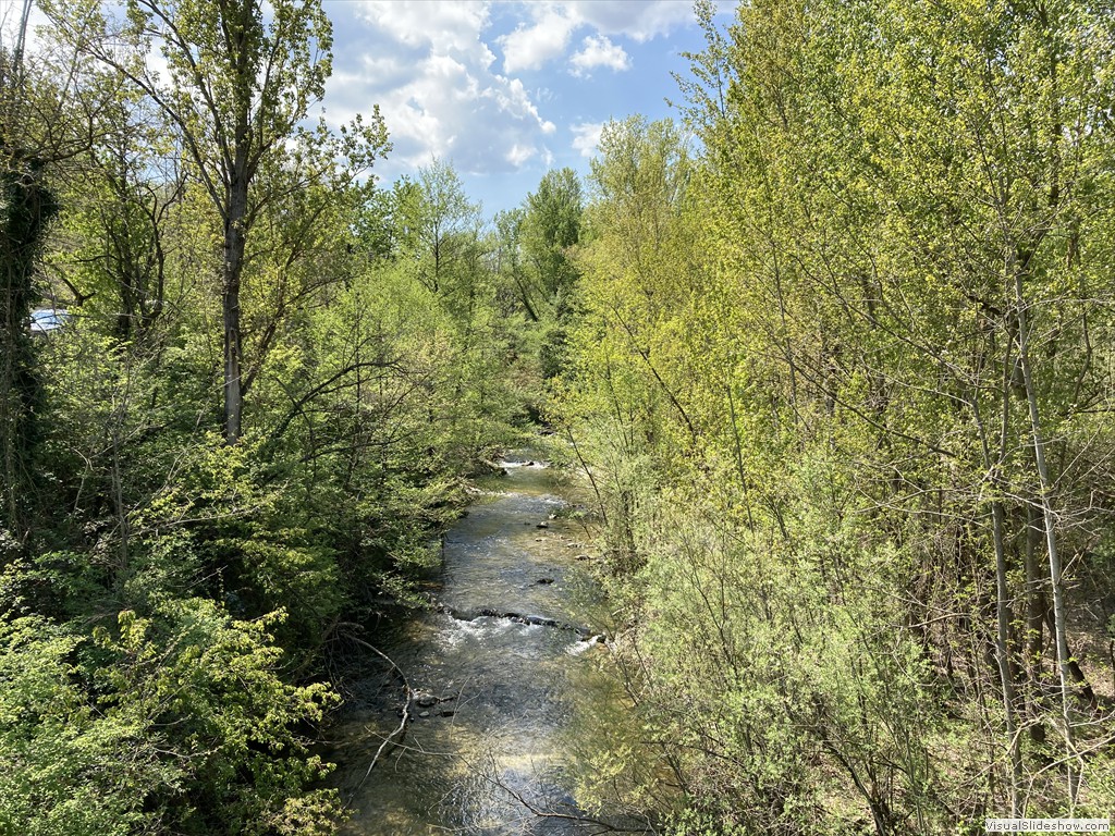 IMG_2887
