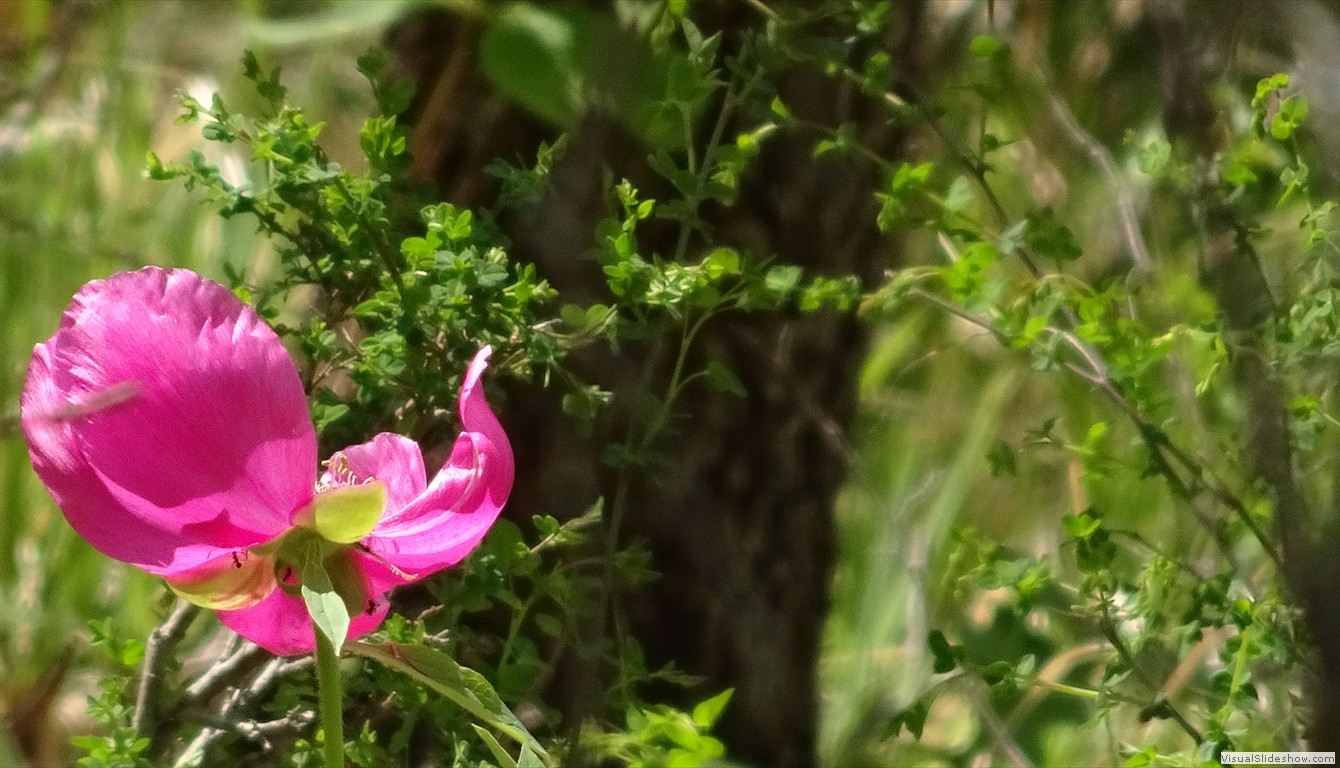DSC03517