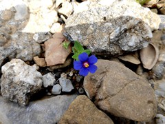 IMG_20190515_130558