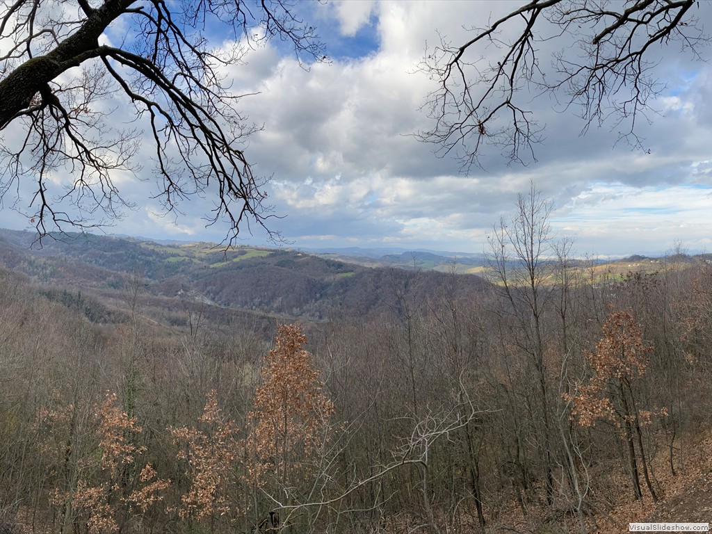 IMG_2135