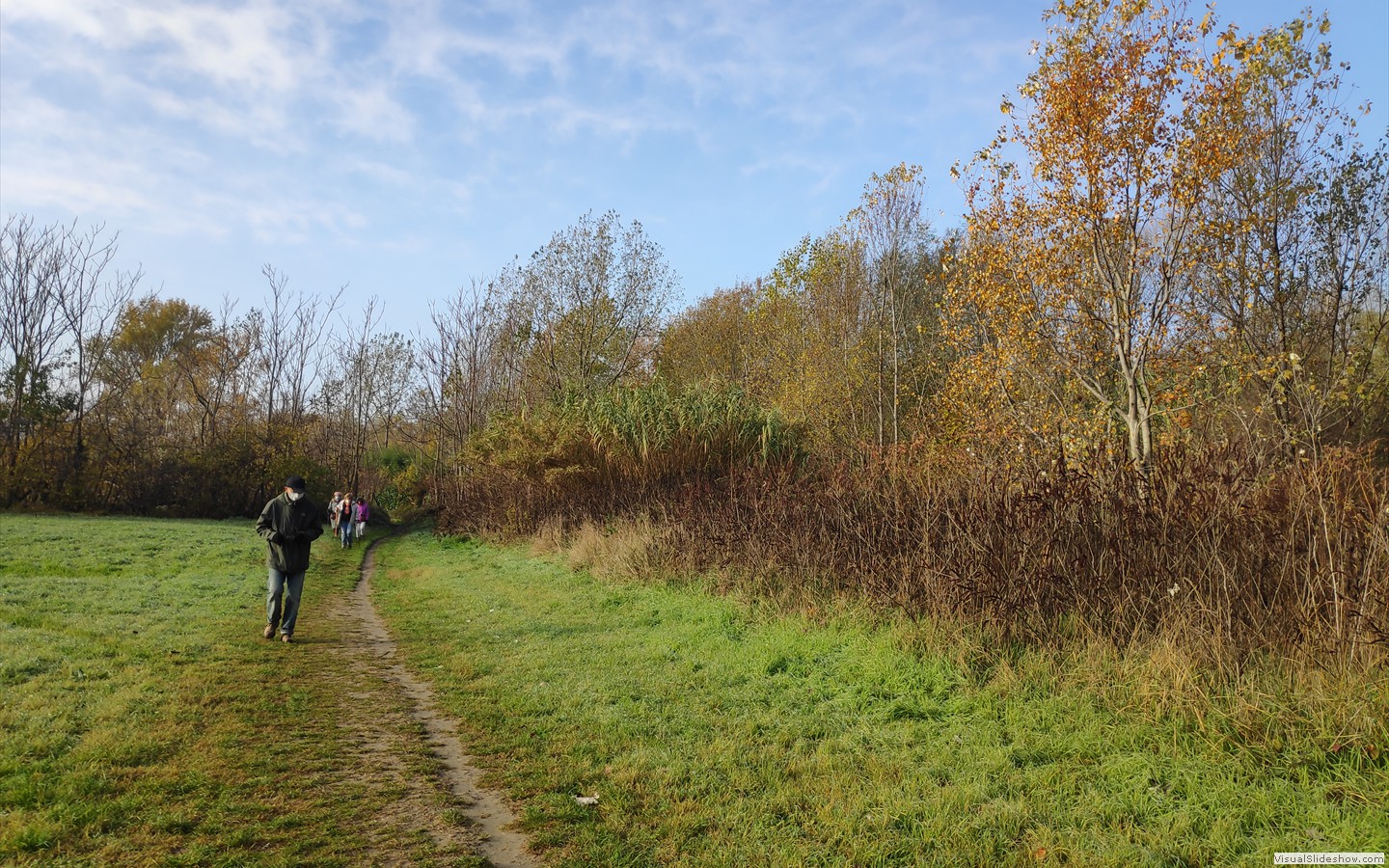 IMG_20201130_100309
