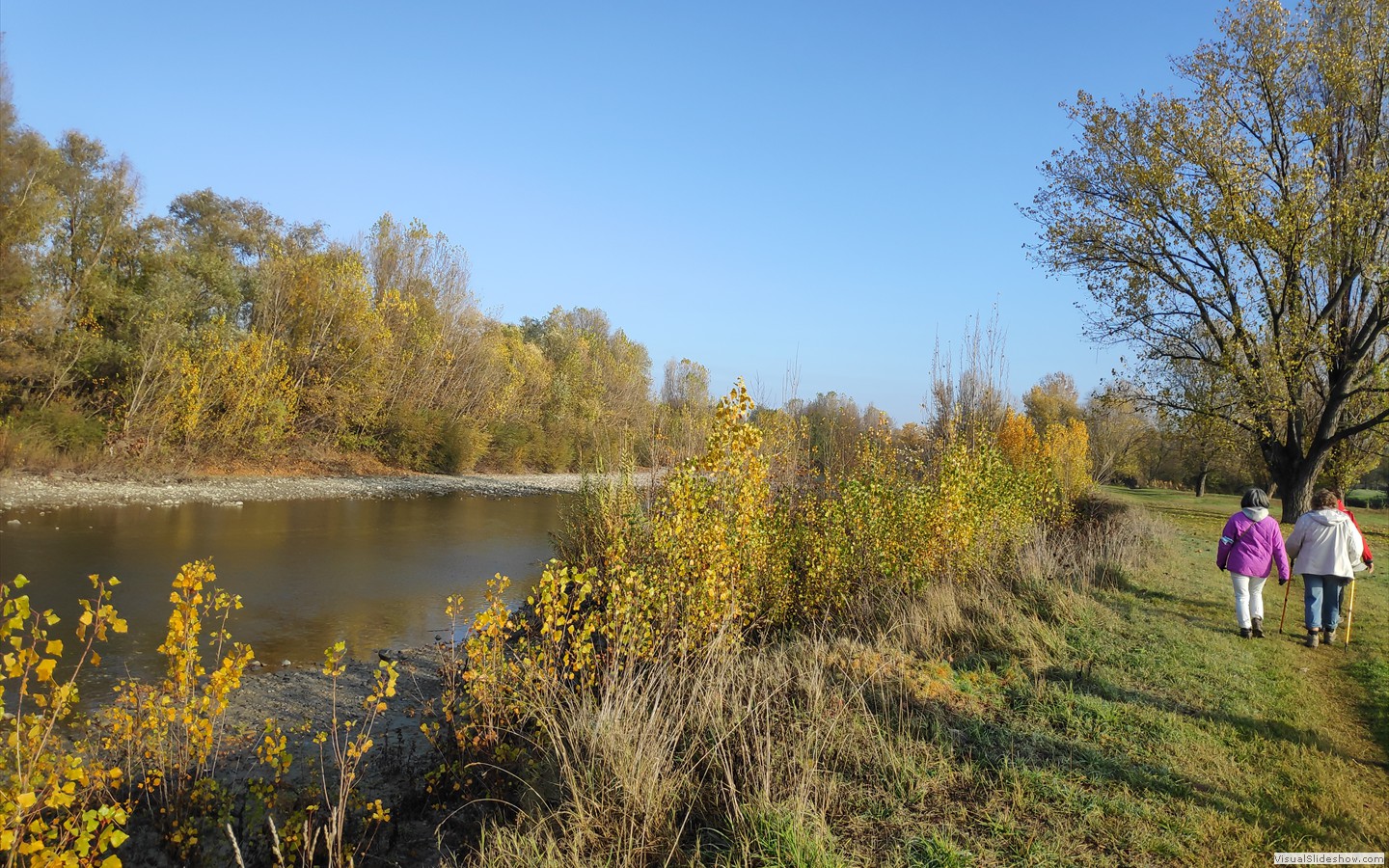 IMG_20201130_101659