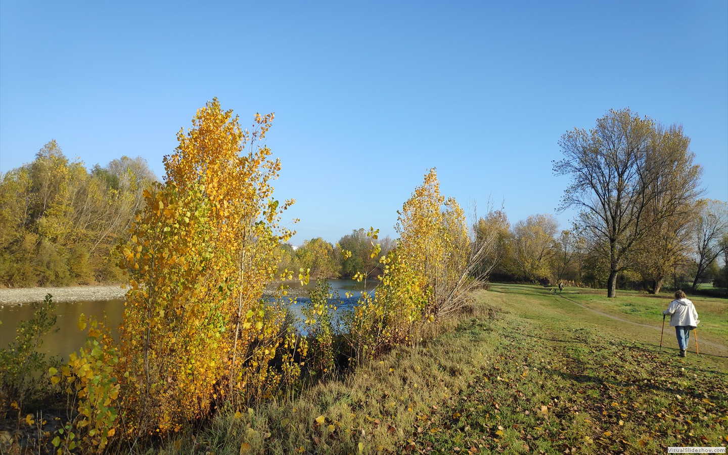 IMG_20201130_101810