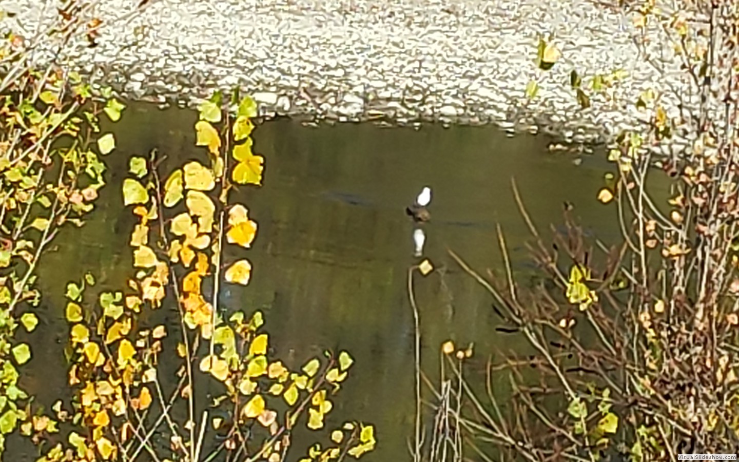 IMG_20201130_112249
