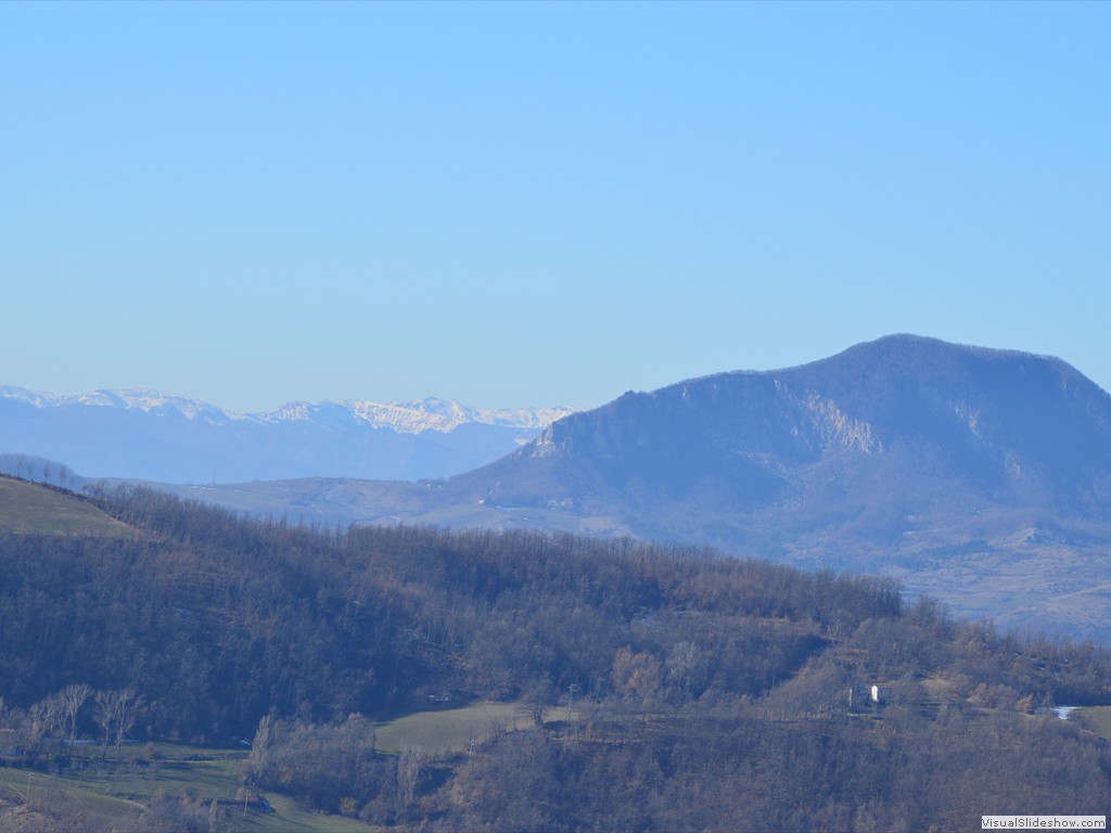 DSC_0194