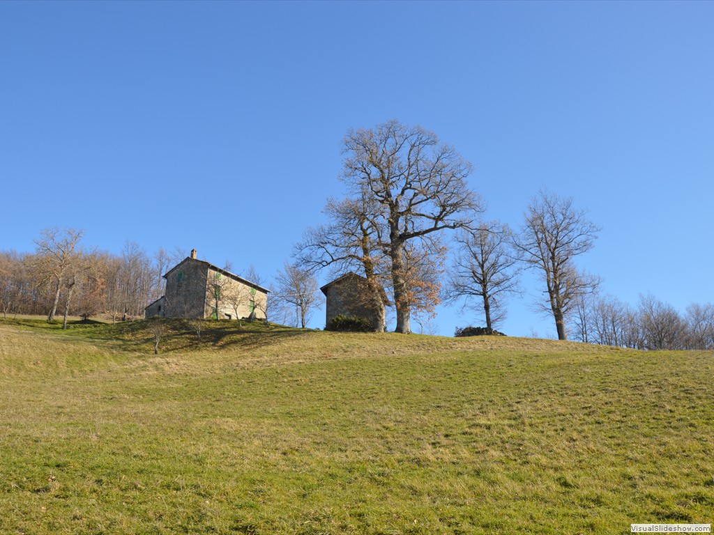 DSC_0200