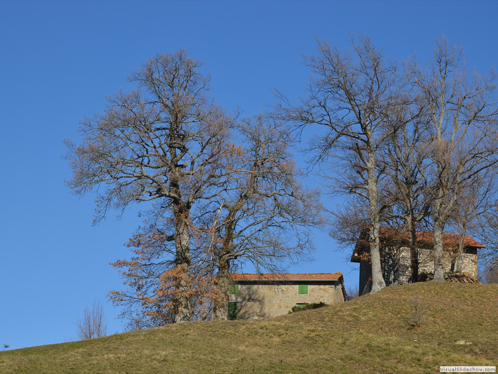 DSC_0206