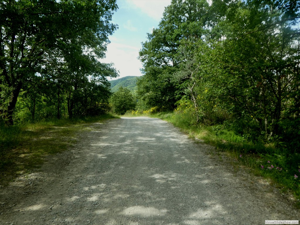 P1010491