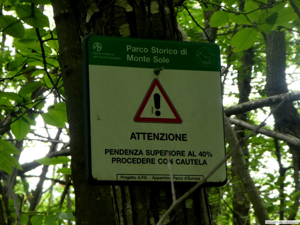 P1010520