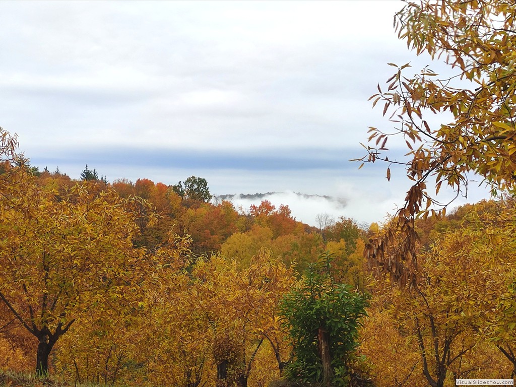 IMG_20211110_121057