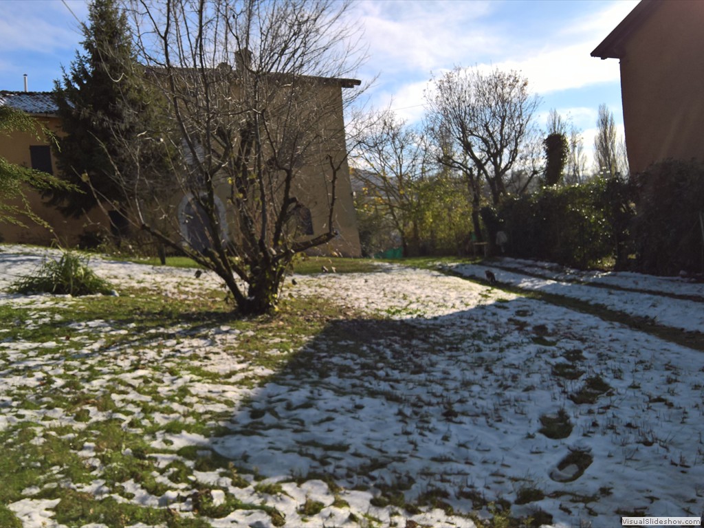 WP_20181121_11_22_05_Pro