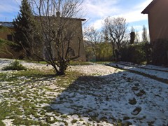 WP_20181121_11_22_05_Pro