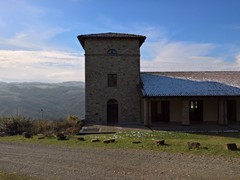 WP_20181121_11_35_25_Pro