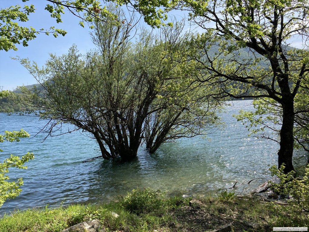 IMG_3015