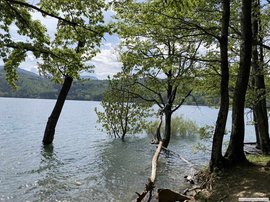 IMG_3017