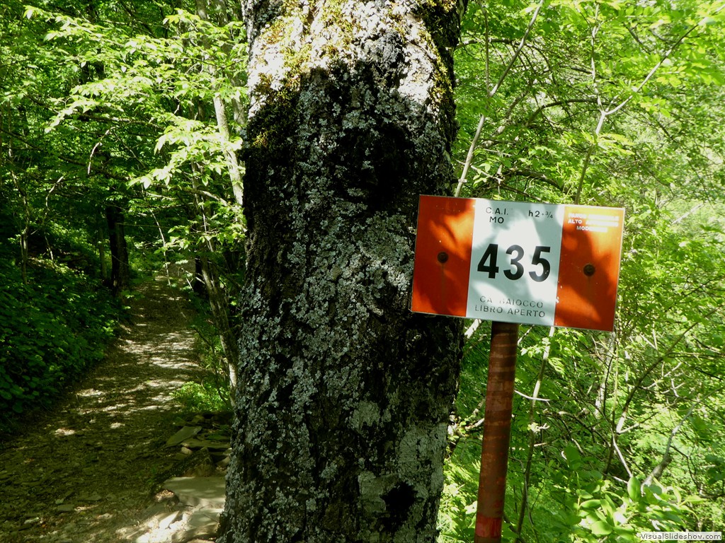 P1070040