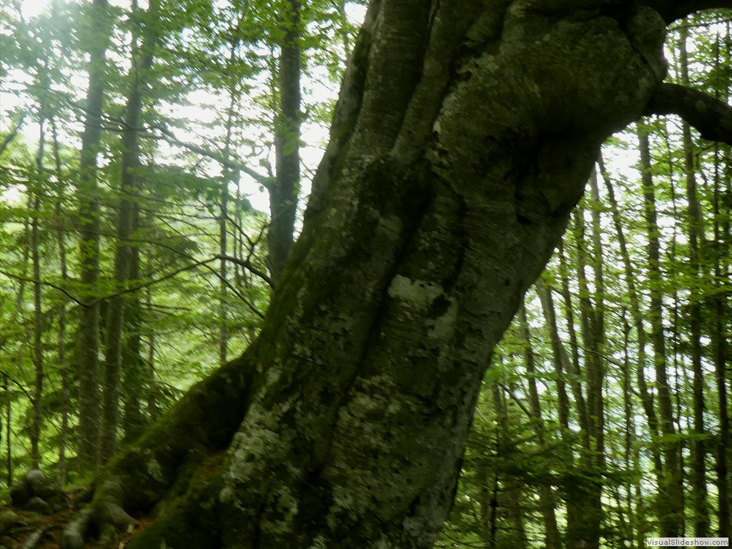 P1070055