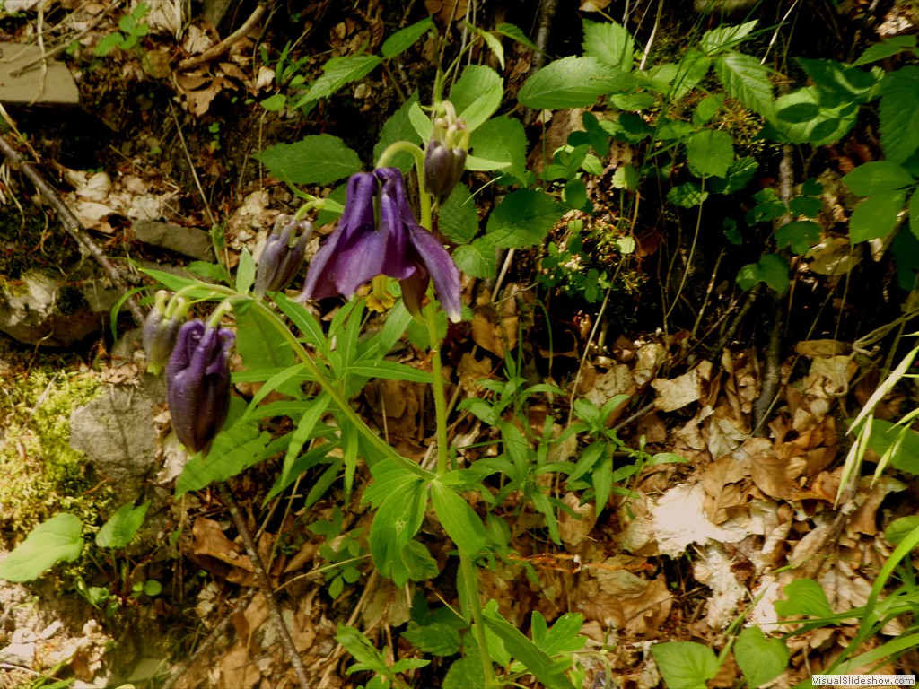 P1070065