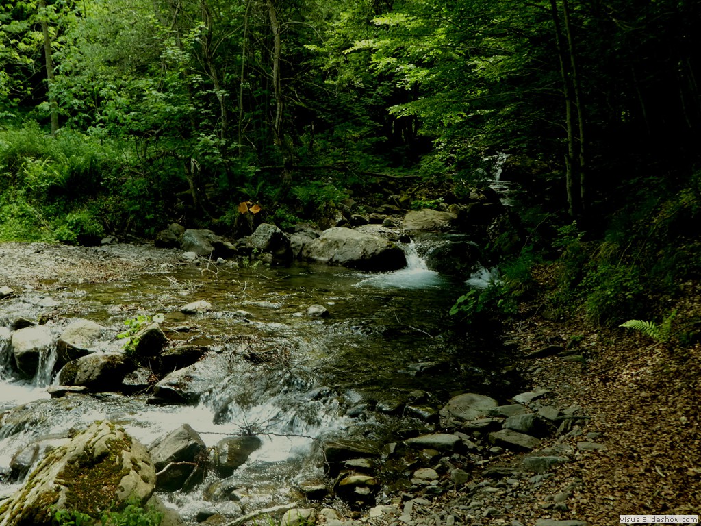 P1070069