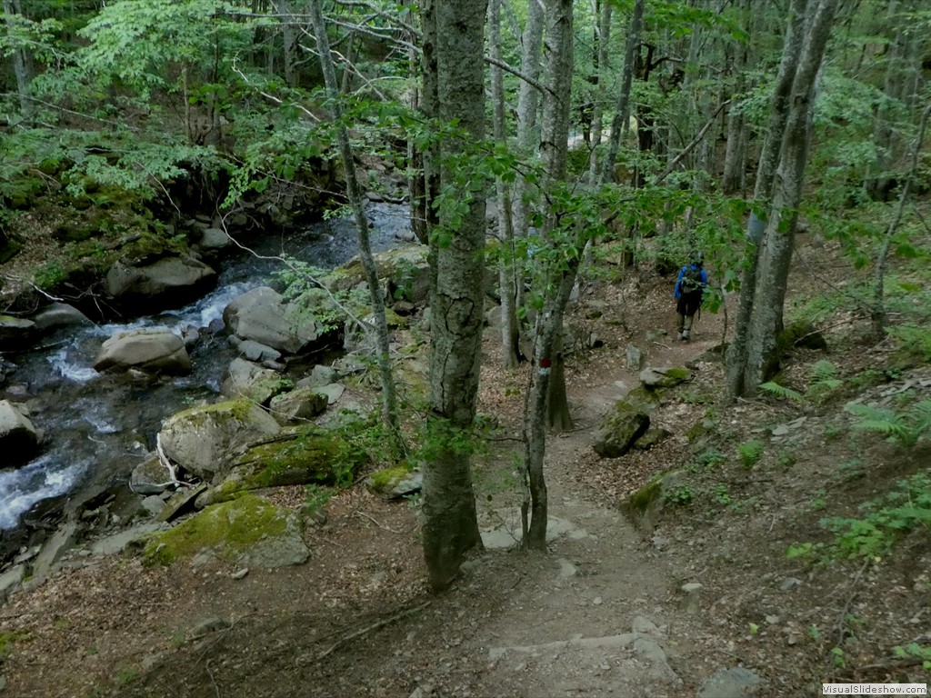 P1070076