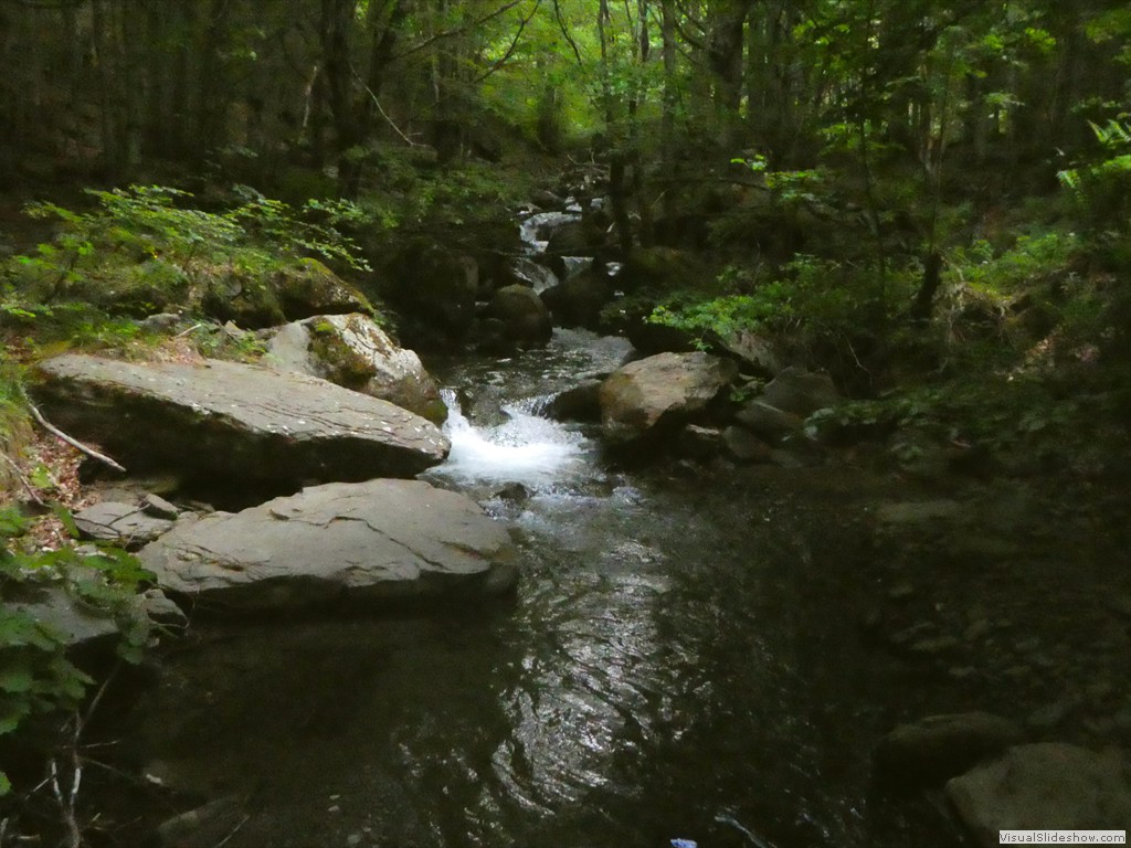 P1070078