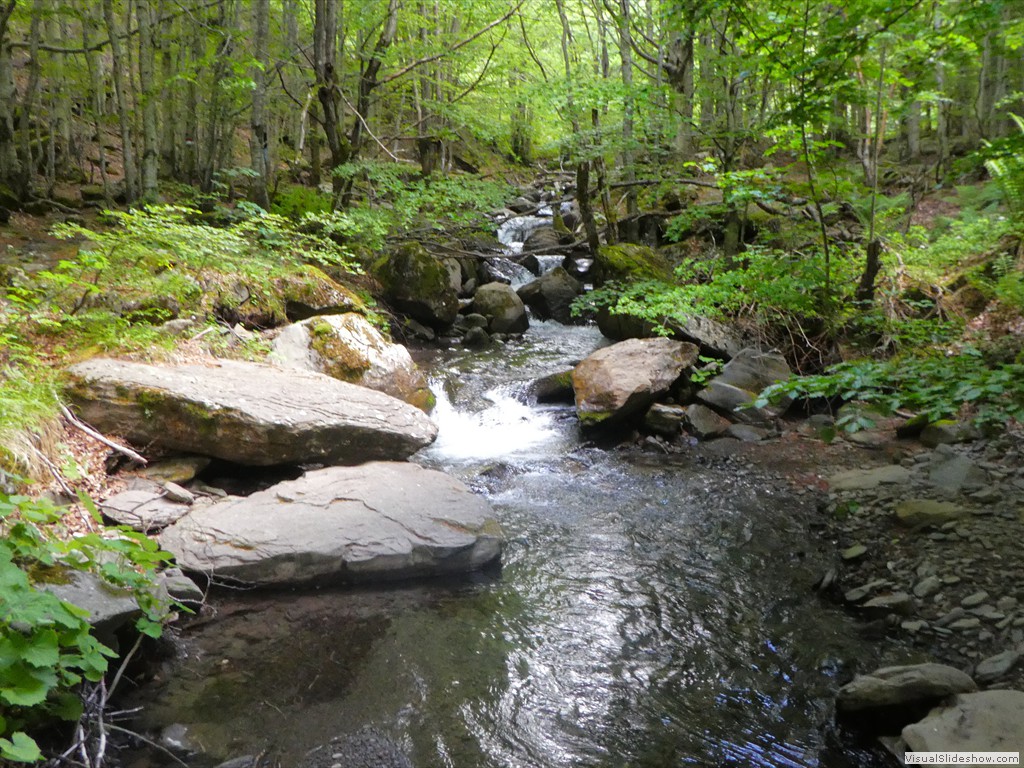 P1070079
