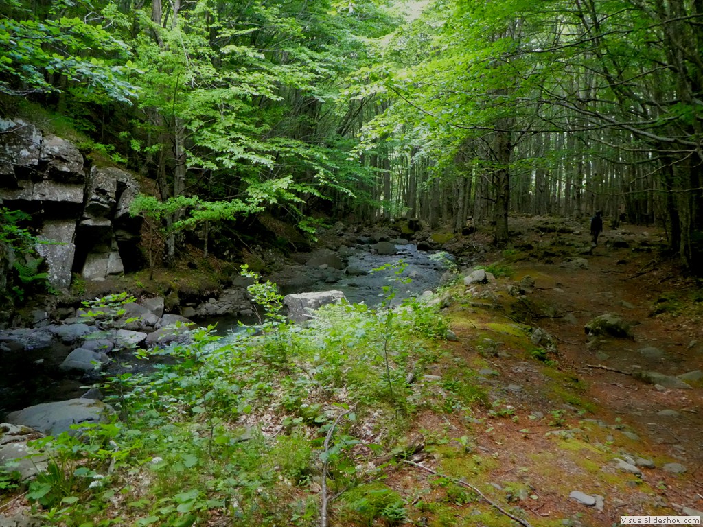 P1070080