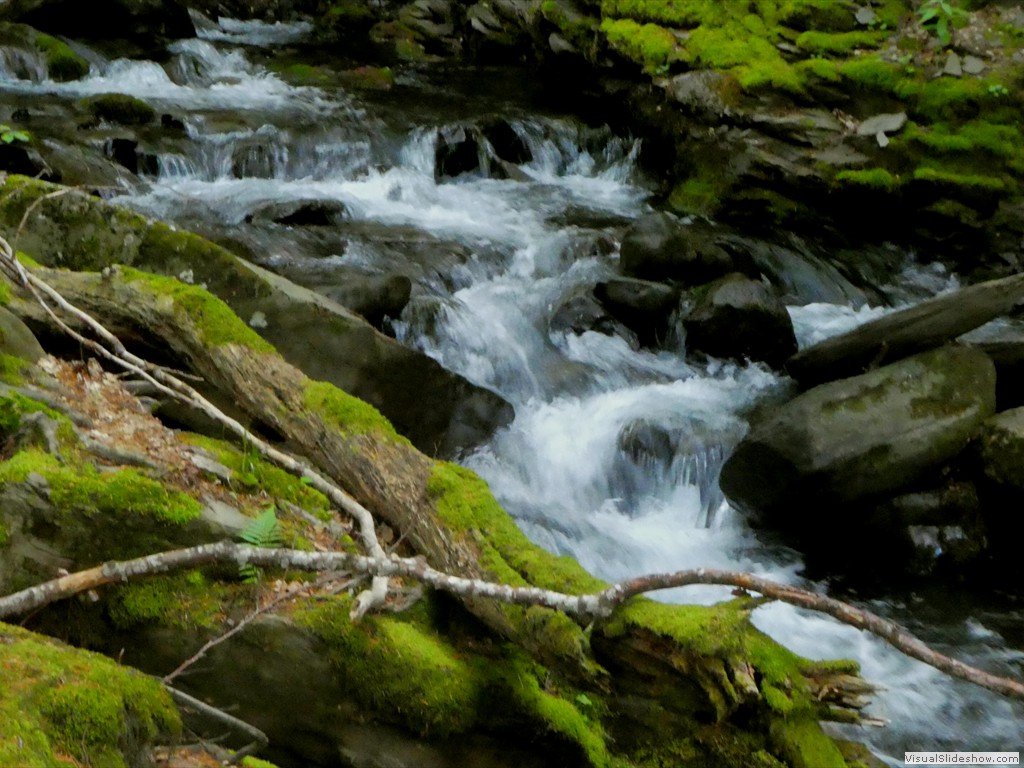P1070081