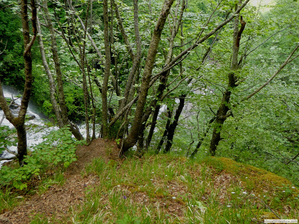 P1070084
