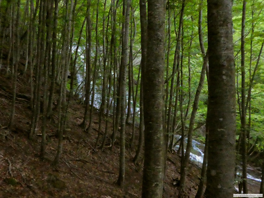 P1070090