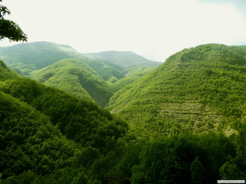 P1070110