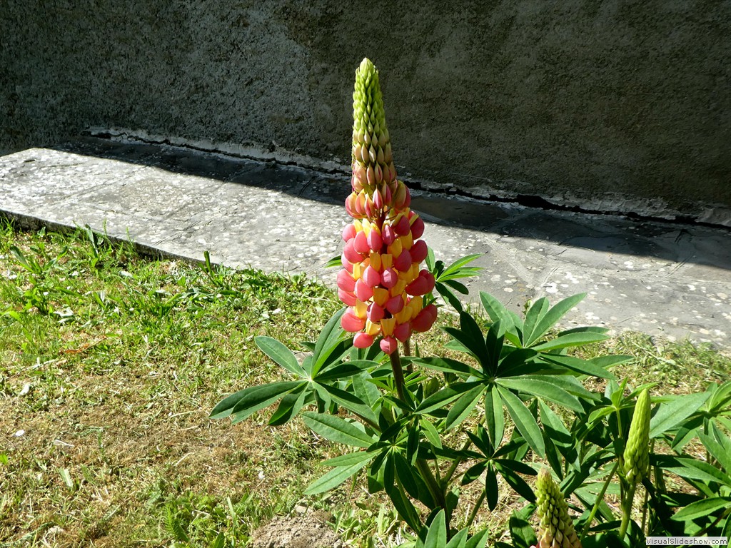 P1070115