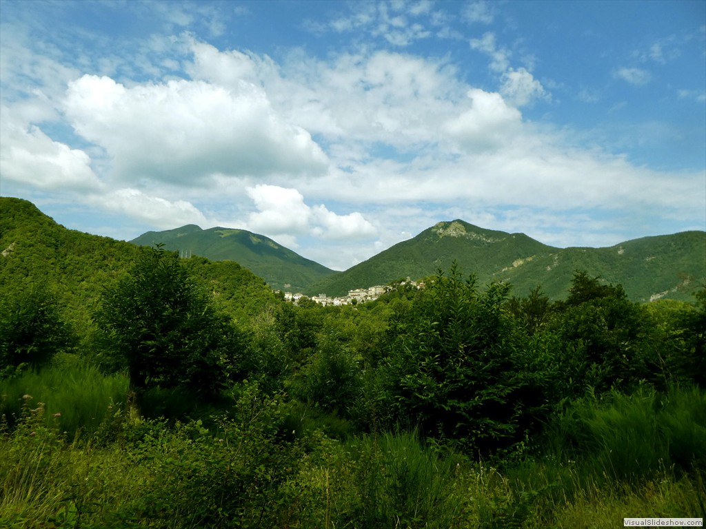 P1020831