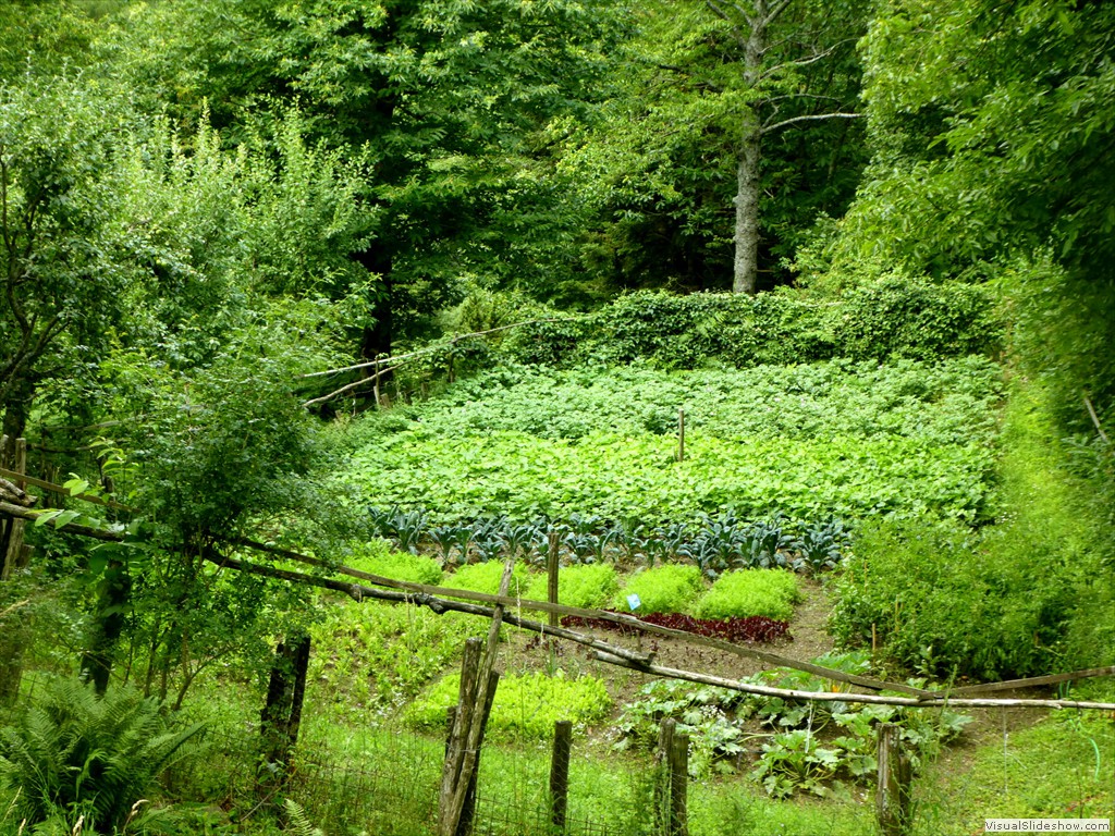P1020864
