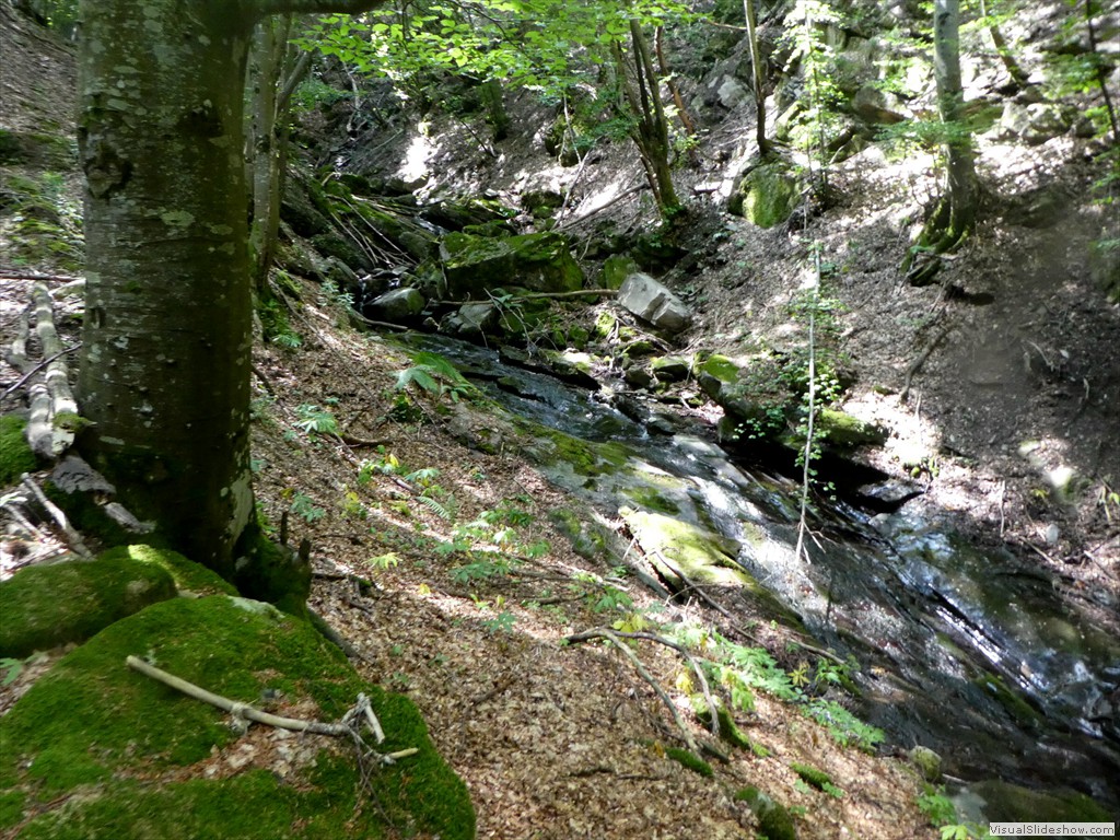 P1020877