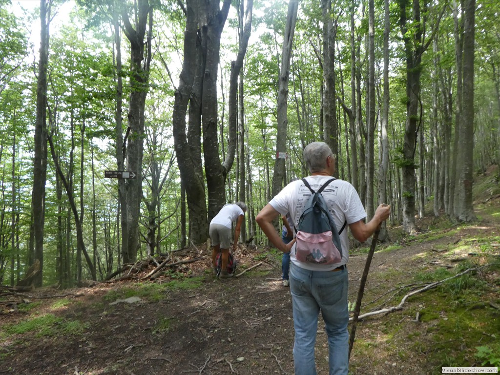P1030005