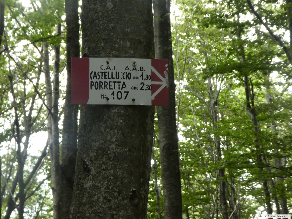 P1030006