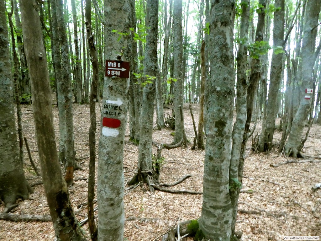 P1030008