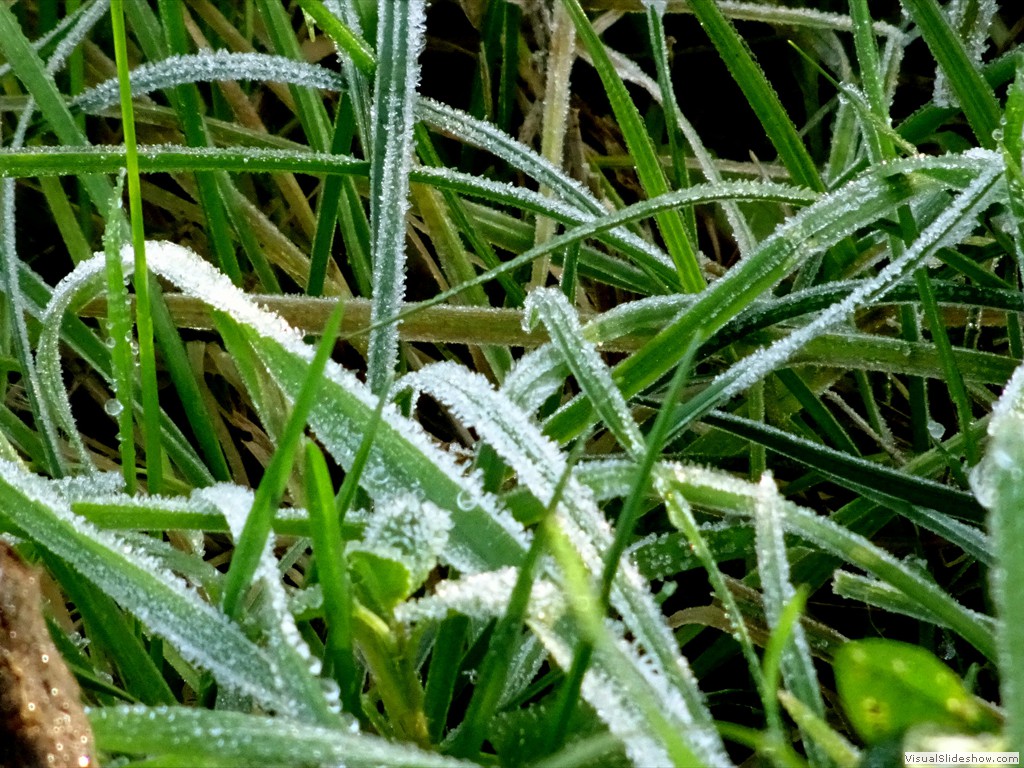 DSC01803