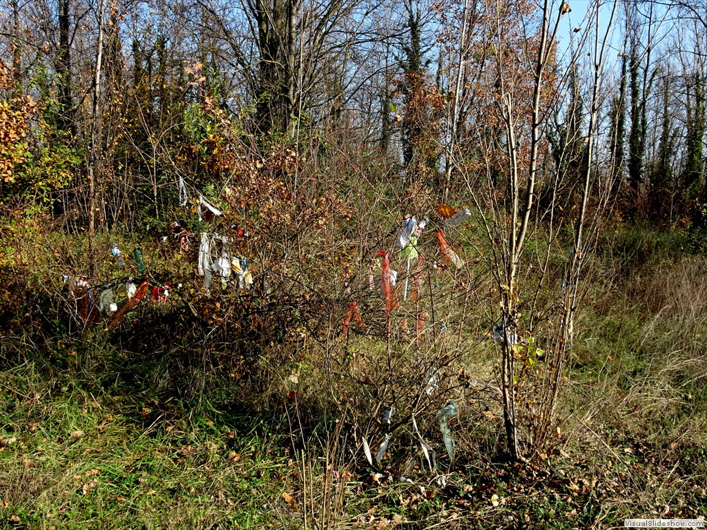 DSC01805