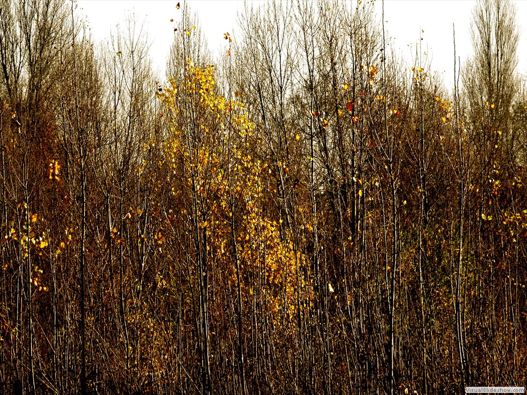 DSC01806