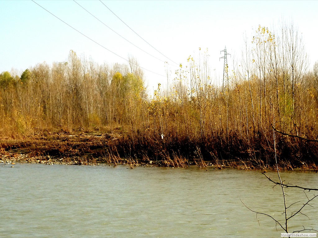 DSC01808