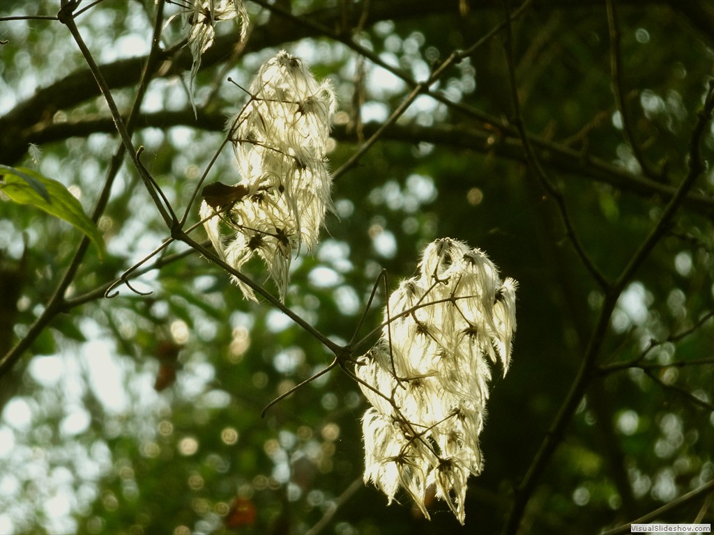 DSC01810