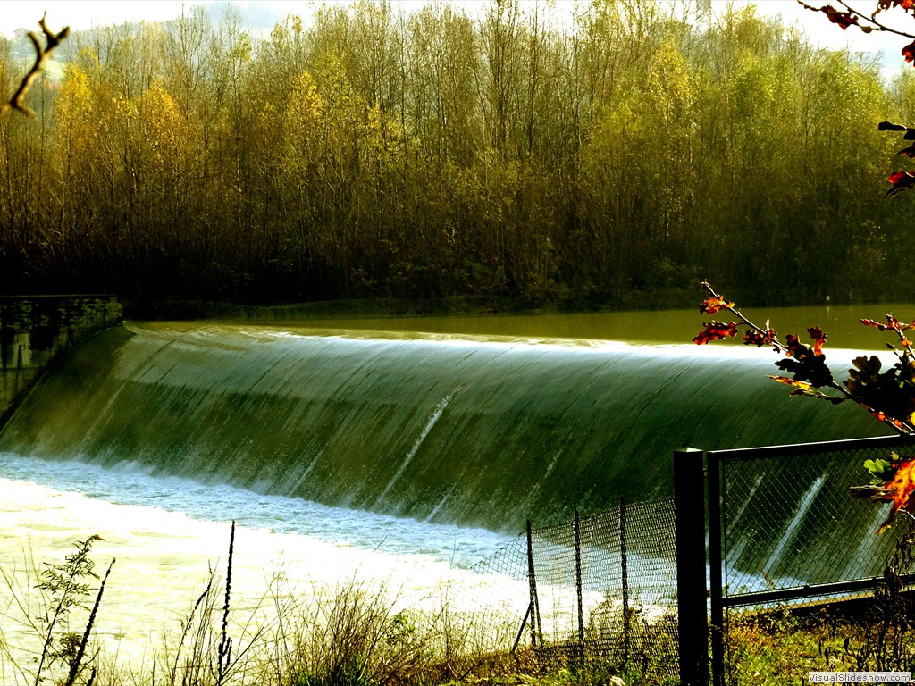 DSC01815