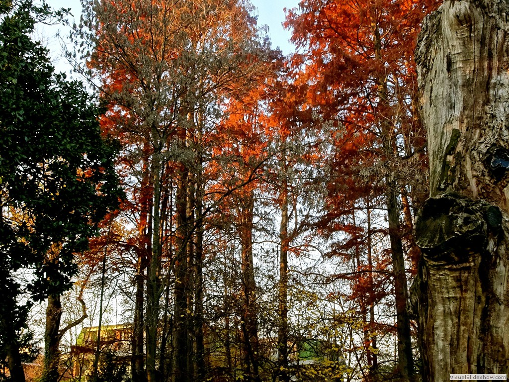 DSC01830